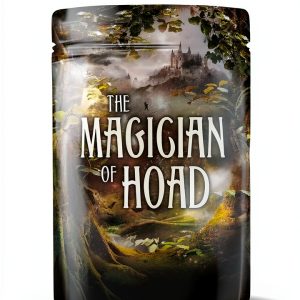 Teen Fantasy Novel The Lost Crown by Margaret McElderry Kindle Reprint-0